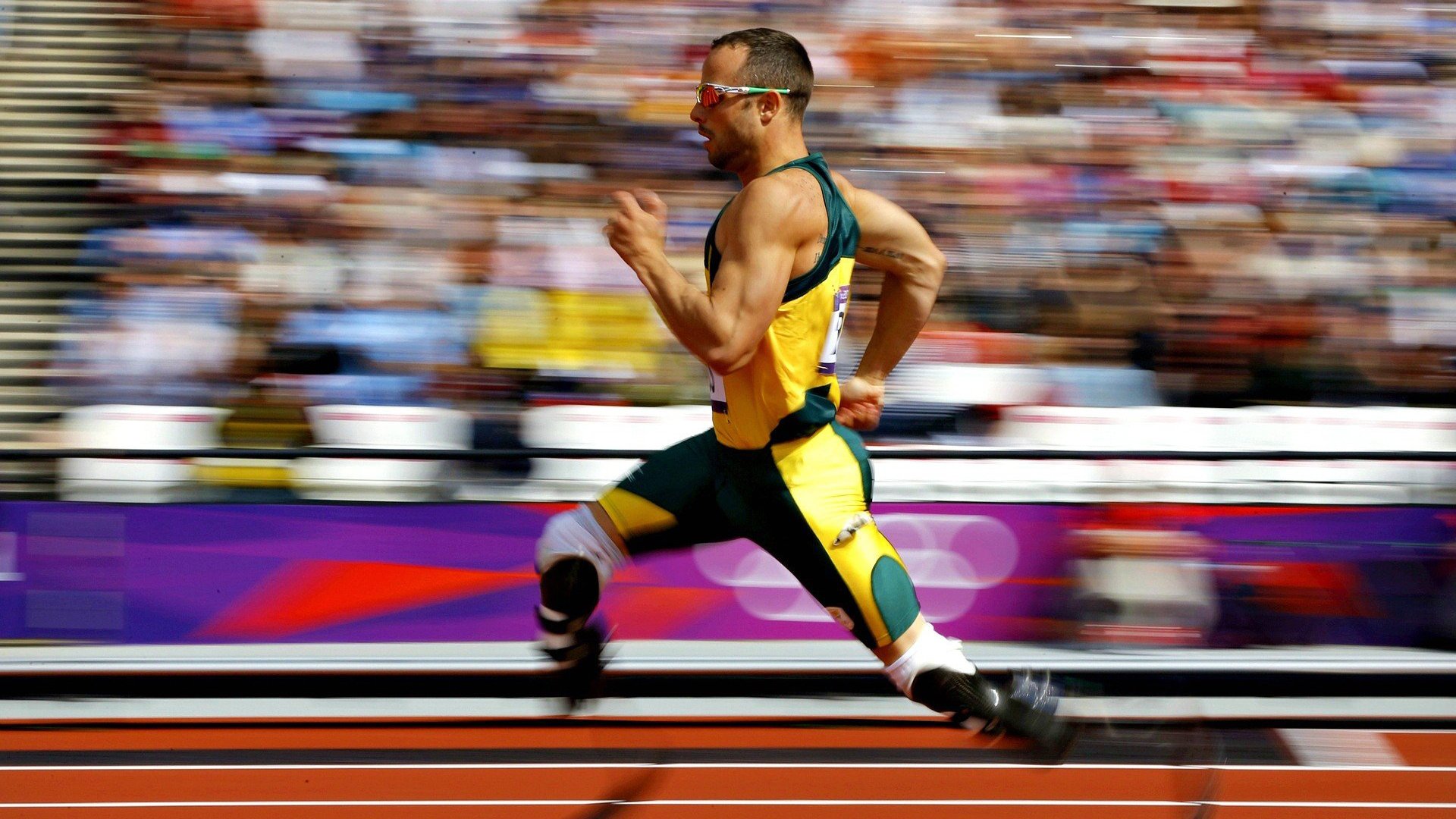 温网碾压澳网?梅德韦杰夫状态火热背后的硬地霸权与草地悬念